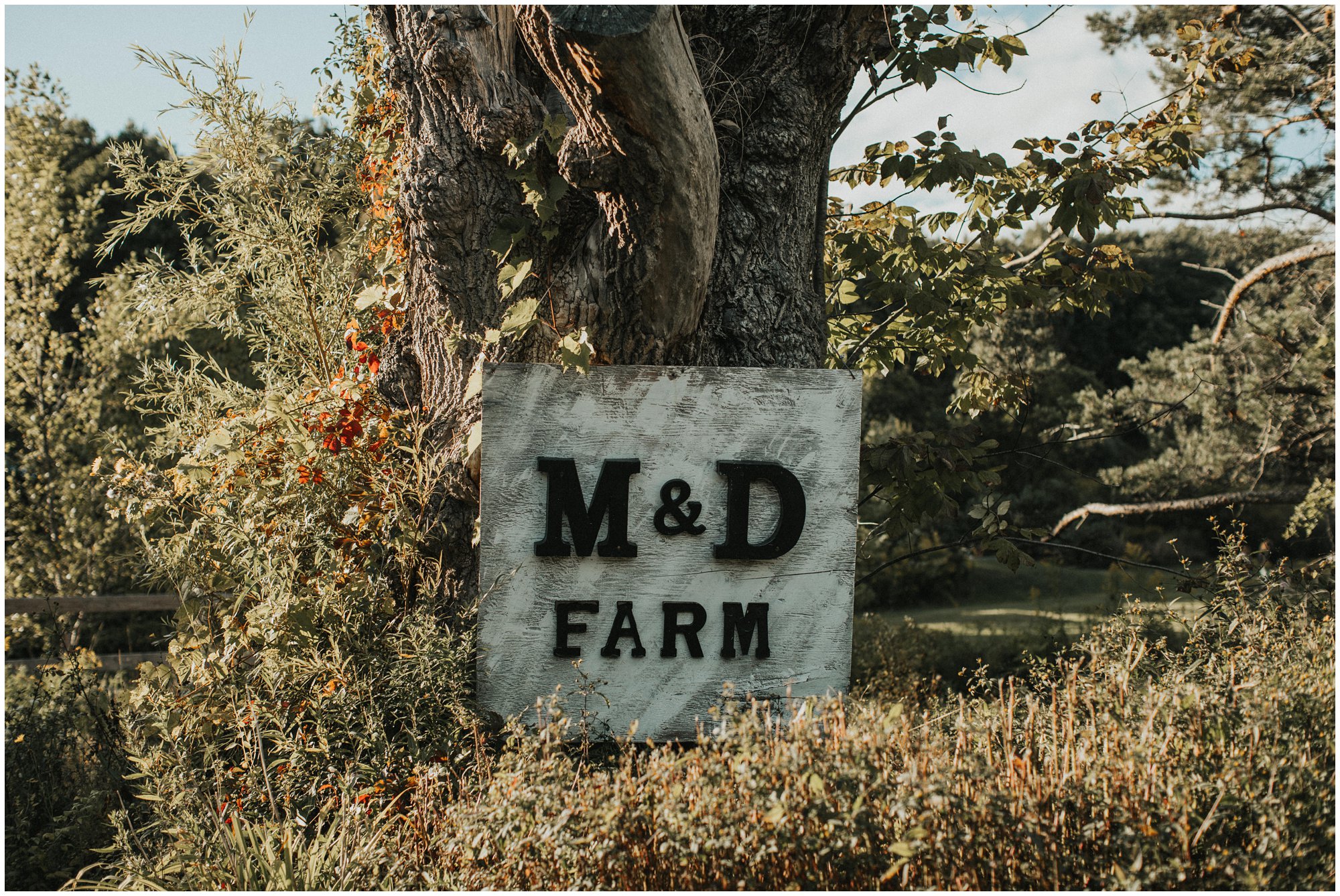 m & d farm intimate wedding 